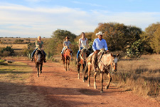 Mexico-Central Mexico-Allende Adventure Getaway